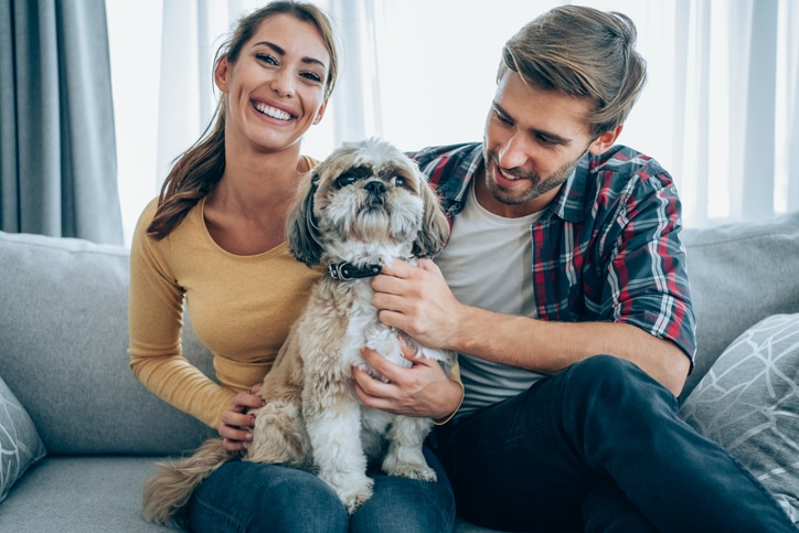 Happy couple with small dog in apartment living room, showcasing pet-friendly living at The Brook on Bay Area in Webster, TX